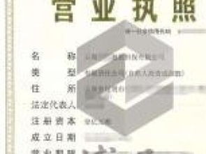 企業(yè)注冊(cè)與法律咨詢服務(wù)全攻略 深圳執(zhí)照、區(qū)塊鏈執(zhí)照、商業(yè)保理執(zhí)照及重慶法律商務(wù)咨詢解析